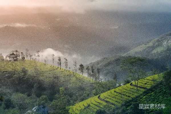 有树有山的风景
