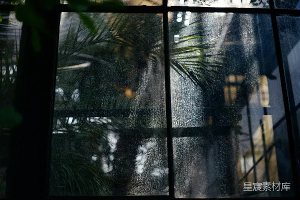 窗户上蒙着雨的痕迹，窗外树木模糊不清。