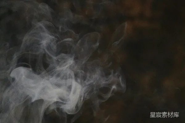 高清摄影 一张胎儿的特写照片