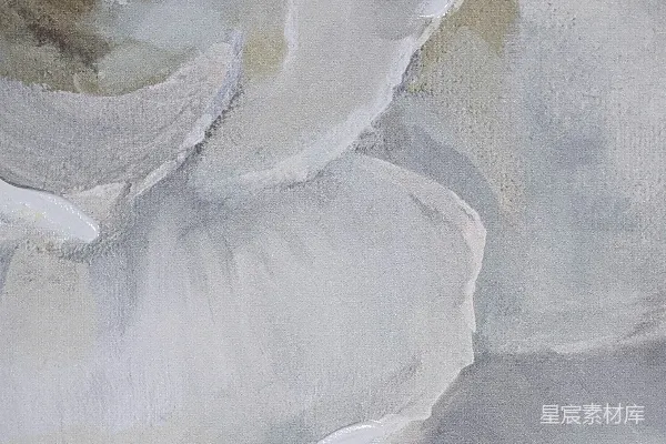 高清摄影 白色和灰色的抽象画