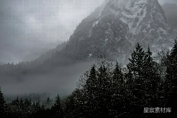 高清摄影 覆盖着雪的山峰和周围的树木