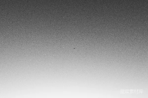 高清摄影 一张黑白照片，展示了一只鸟在天空中飞翔的场景。