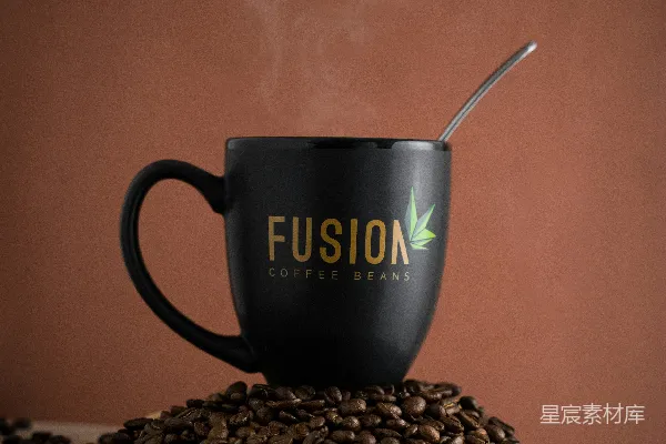 蓝白相间的陶瓷 mug 放在棕色和黑色的石头上