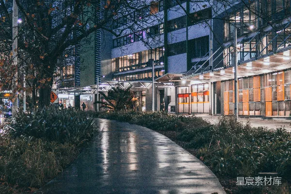 棕色树鼠在白建筑夜间穿梭