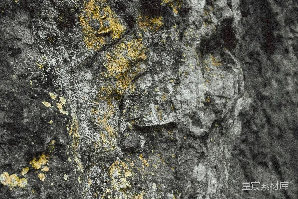 高清摄影 岩石表面的特写镜头，上面有地衣生长。