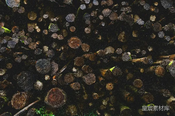 棕色和黑色的树 Logs