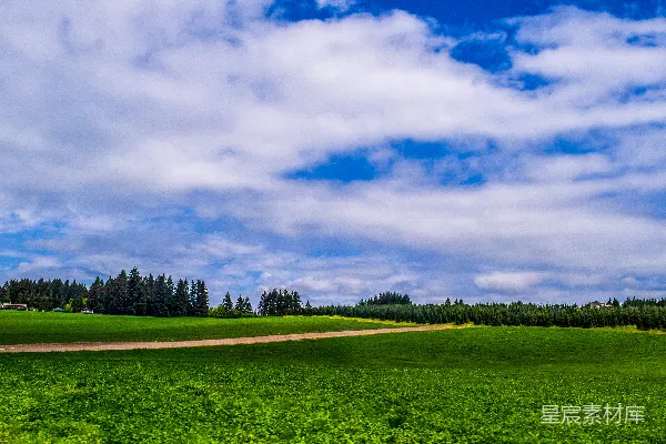 白天绿草地上空有阴云的景象
