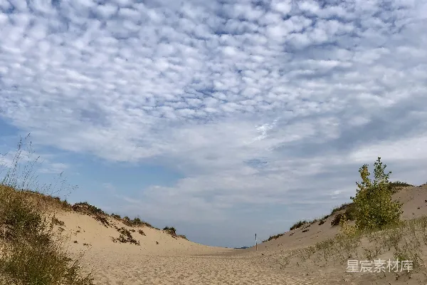 一条沙石小路蜿蜒通往海边，在阴云密布的天空下。