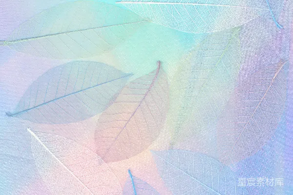 高清摄影 透明树叶的渐变背景