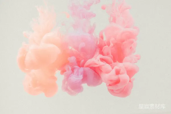 高清摄影 白色背景上的粉红色花瓣