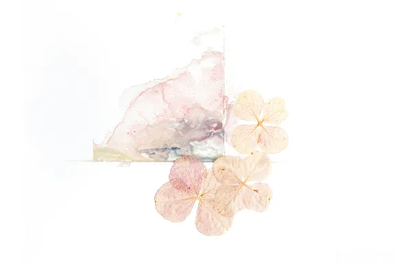 高清摄影 一块蛋糕，上面插着花。