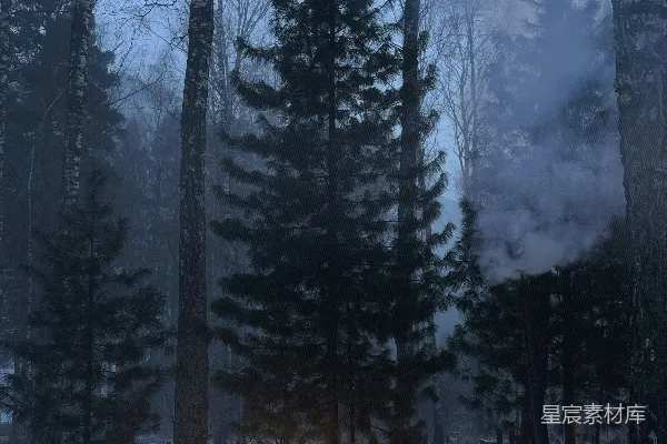 森林中的一场雪中大火