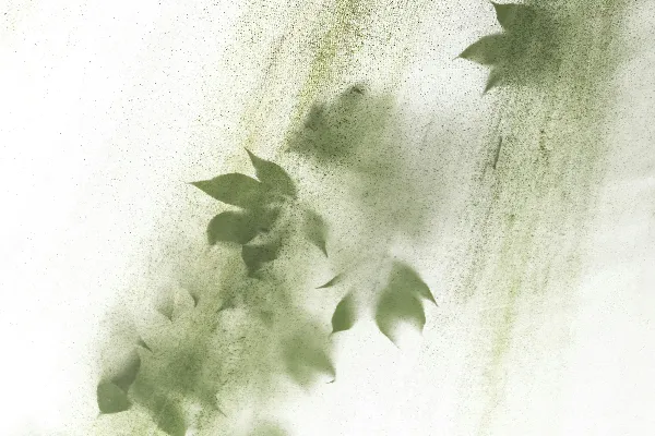 高清摄影 紫色和白色抽象画