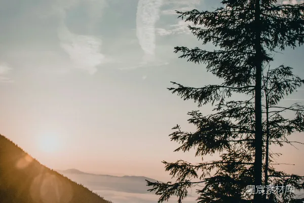 山中绿树映衬着白云的白天景象