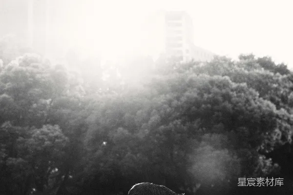 高清摄影 白天的绿草地上有一头黑牛。