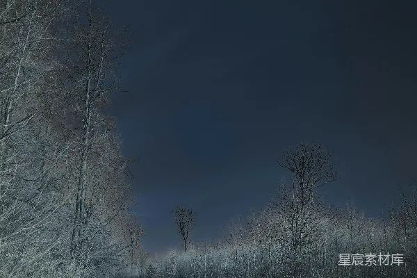高清摄影 被雪覆盖的树木和道路