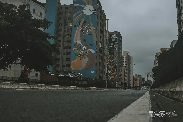 一栋建筑侧面的巨大壁画