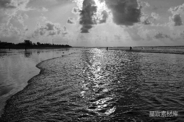 高清摄影 一张黑白照片，海滩场景。