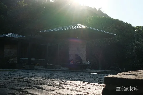 阳光透过树荫洒在一块铺有石板的小道上。