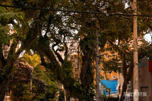 一条街道上有辆车停在路边上。