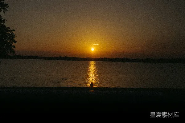 水面上的夕阳与水中觅食的鸭子交织的画面