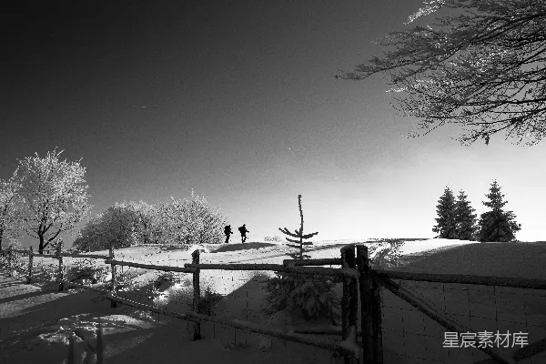 高清摄影 两个人在雪地里行走