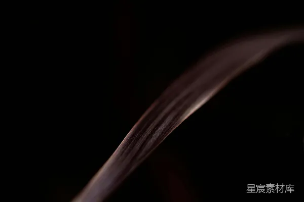 高清摄影 一滴水落在黑暗的房间里