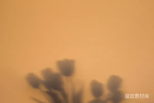 一幅模糊的照片里有一盆有花的花瓶