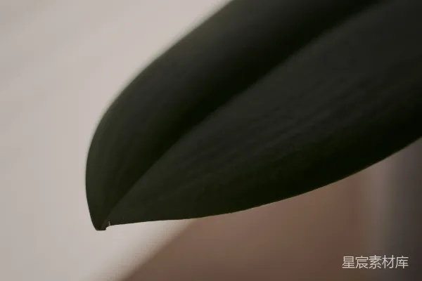 黑色皮革织物放在白色桌子上的样子