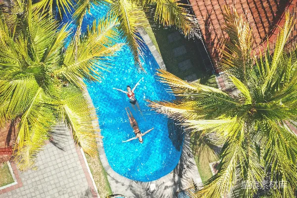 椰树环绕下的游泳者与度假屋的空中摄影