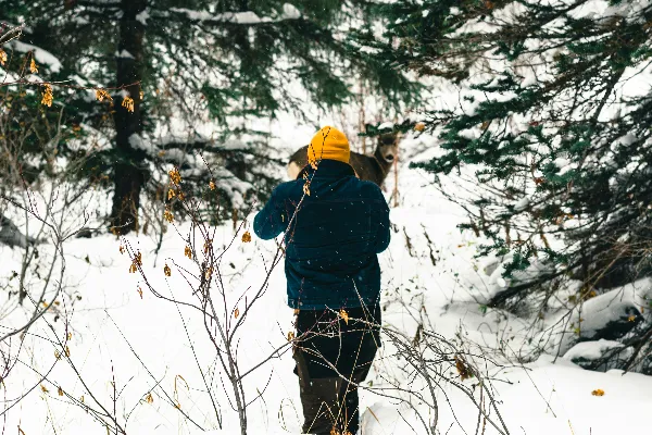 森林中的行人走在雪地里