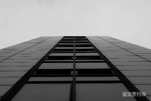 高清摄影 一张黑白照片，展示了一栋高大的建筑。