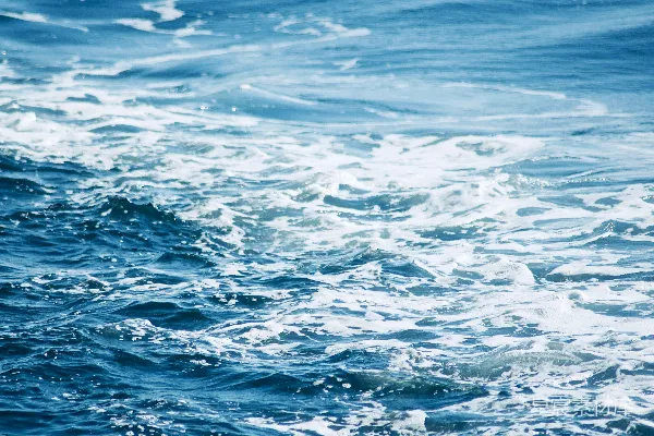 白天的海水