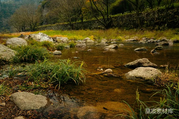一条浅溪流过岩石，两岸长满青草。