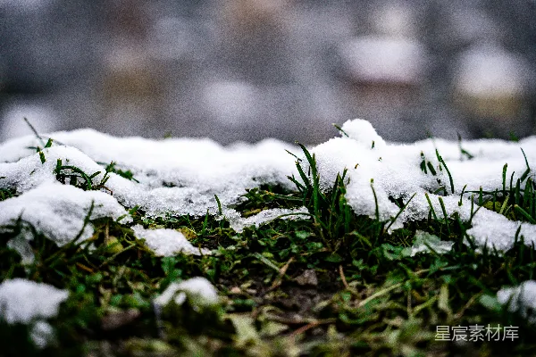一些雪的特写镜头