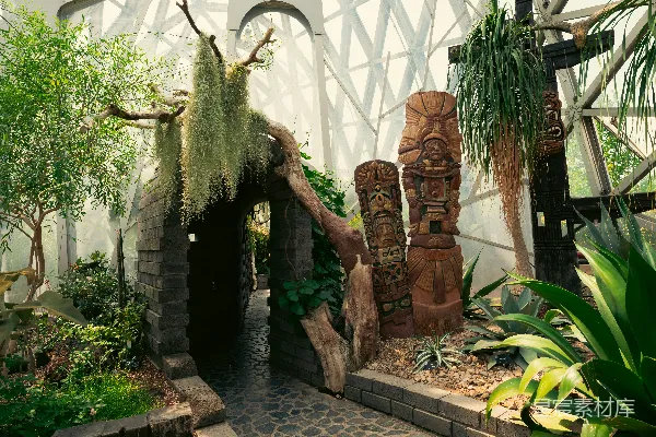 高清摄影 温室展示了植物和建筑细节。