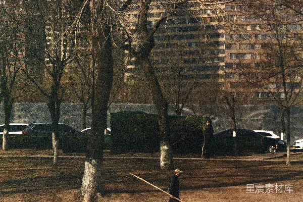 高清摄影 白天，一个人在光秃秃的树木旁的人行道上行走。