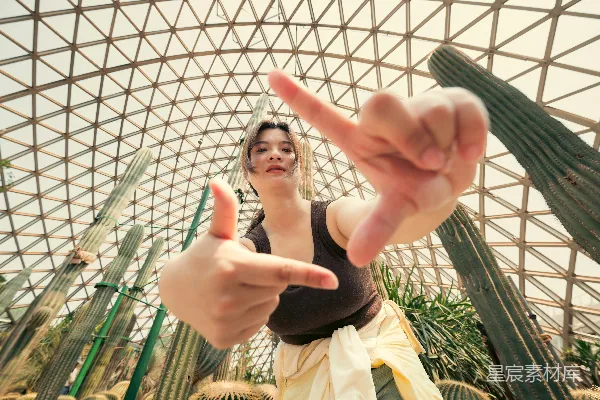 高清摄影 女人在温室里用手围成一个框架。
