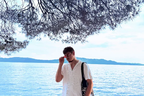 一个男人站在海边一棵树下。