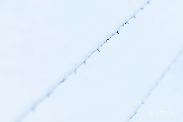 覆盖着霜雪的铁丝网