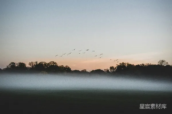 夕阳下树木的轮廓近水处