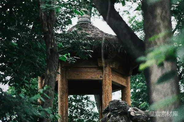 森林中一座小木结构