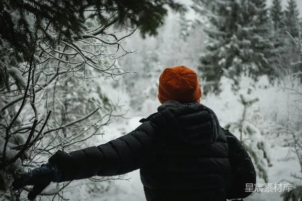 高清摄影 一个人站在雪地里，看着树木。