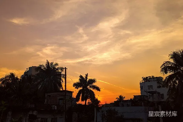 高清摄影 夕阳照耀在城市上空，棕榈树摇曳。