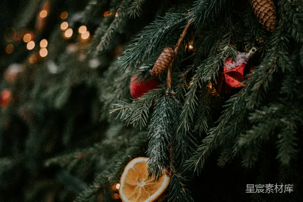 金色的圣诞装饰挂在绿色的圣诞树上