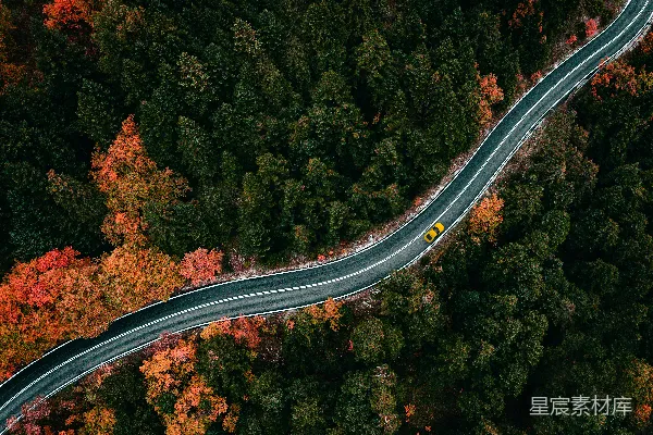 高清摄影 空中俯瞰一条被树木环绕的道路。