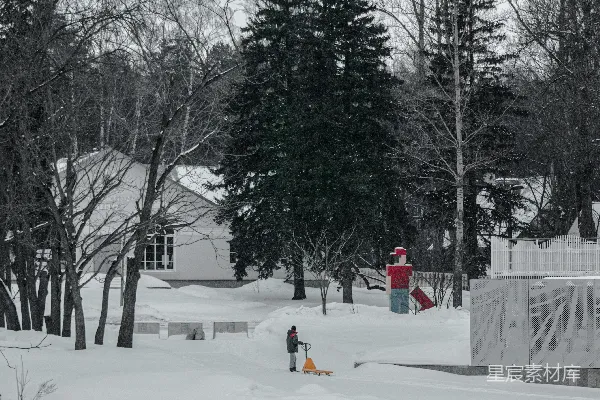 红色夹克和黄色裤子的人站在覆盖着积雪的地面上，靠近裸树旁。