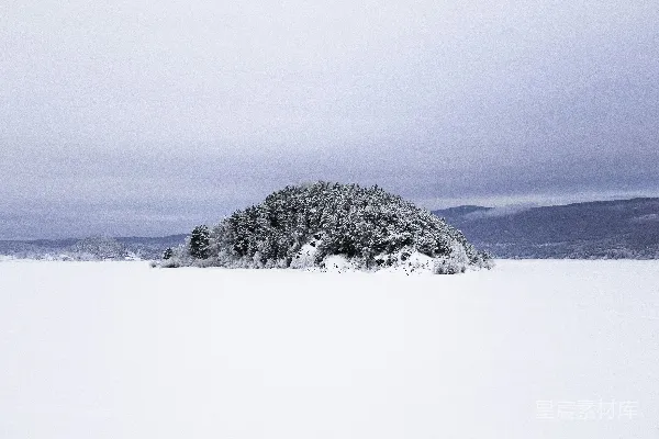 雪地里一棵孤树，背景是山峦。