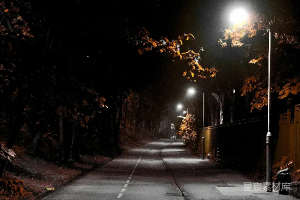 高清摄影 夜晚的一条街道，路灯亮着。