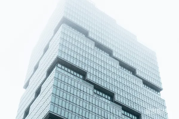 一栋有很多窗户的非常高大的建筑物